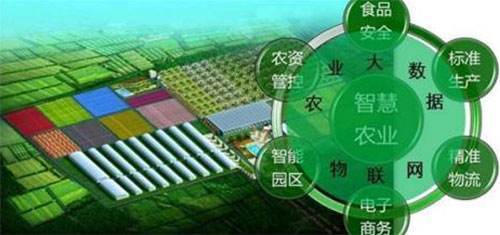 智慧农业赋能云南农村电商 网络科技驱动下的转型升级之路